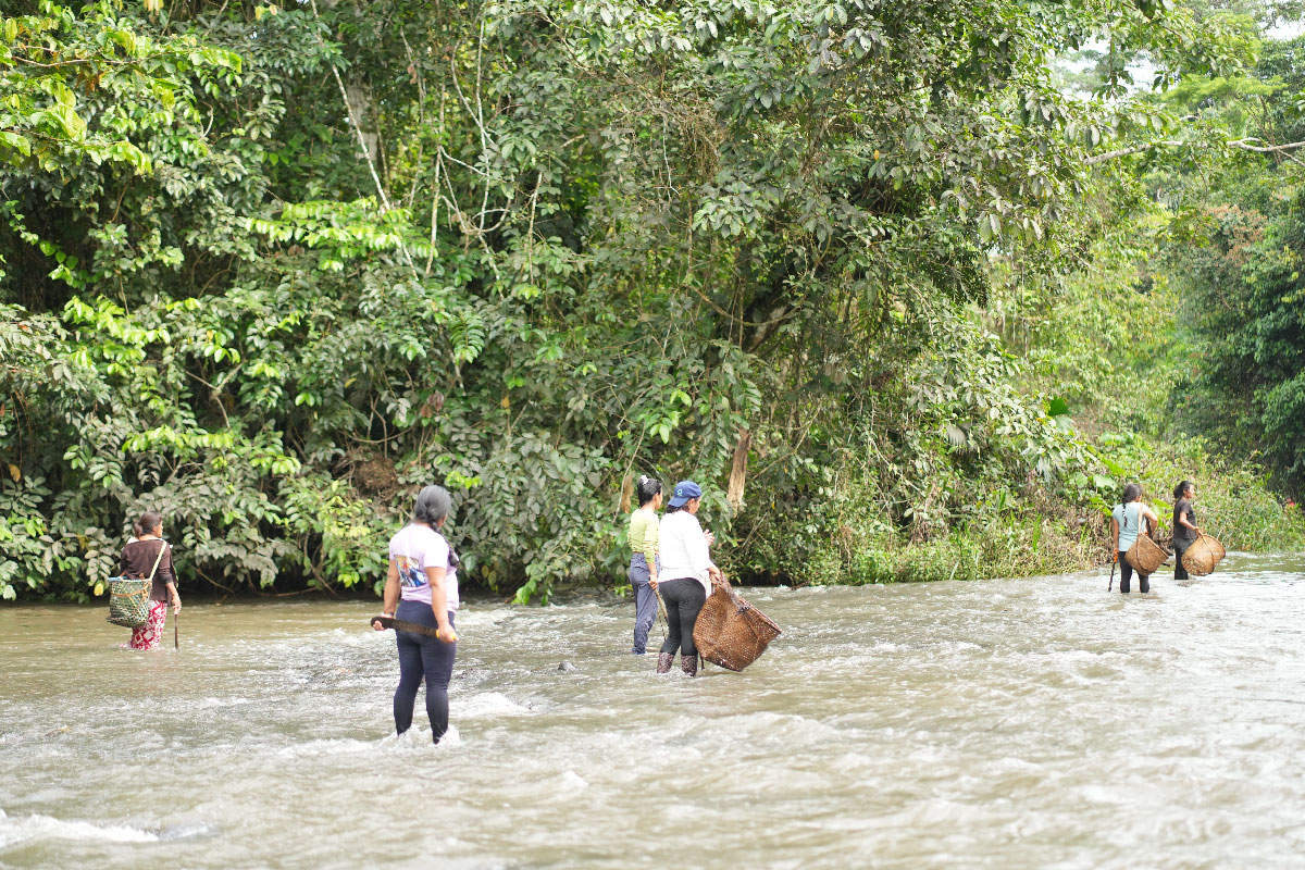 El bosque es hogar, alimento y vida para las comunidades indígenas 1