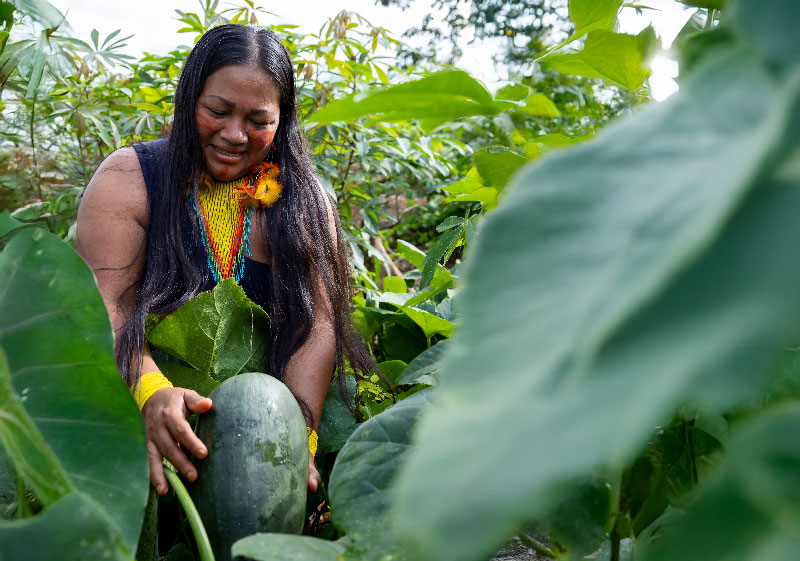 Salomé Tangamash  Créditos: Armando Prado 1