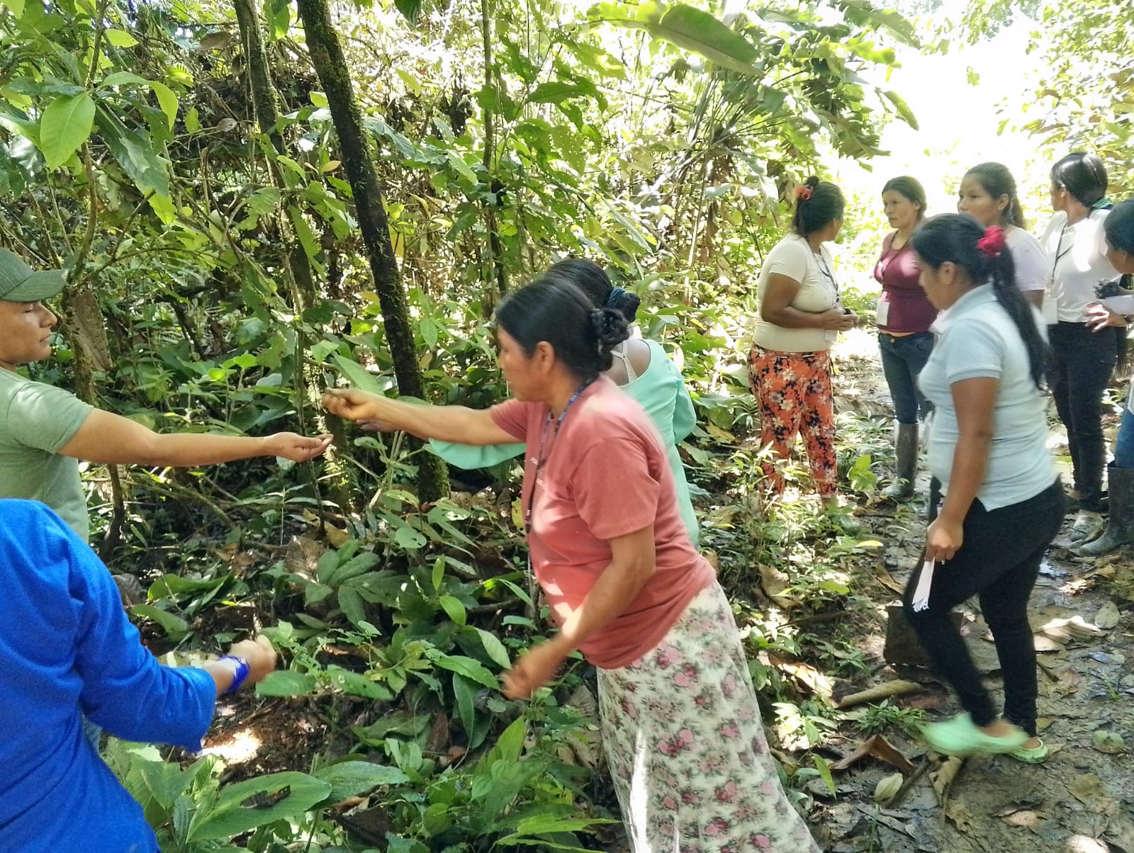 El bosque es hogar, alimento y vida para las comunidades indígenas 2